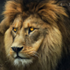 Meet your Posher, Hafeez